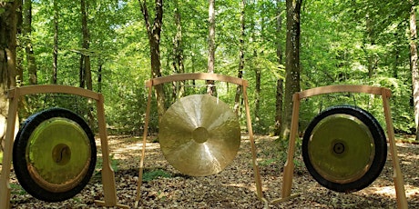 Outdoor Soundbath at Alice Holt Forest, Farnham