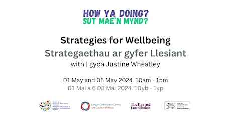 Strategies for Wellbeing | Strategaethau ar gyfer Llesiant