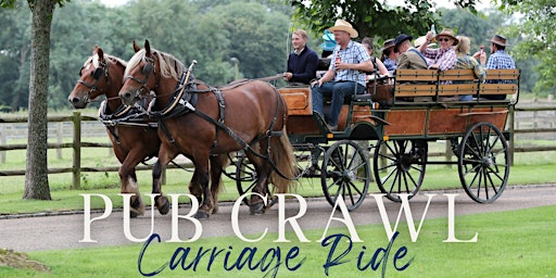 Image principale de Pub Crawl Carriage Ride
