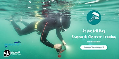 Imagem principal de St Austell Bay Seasearch Snorkel Observer Course