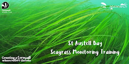 Imagem principal do evento St Austell Bay Seagrass Monitoring Training