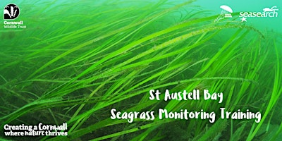 St Austell Bay Seagrass Monitoring Training primary image