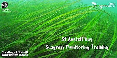 St Austell Bay Seagrass Monitoring Training