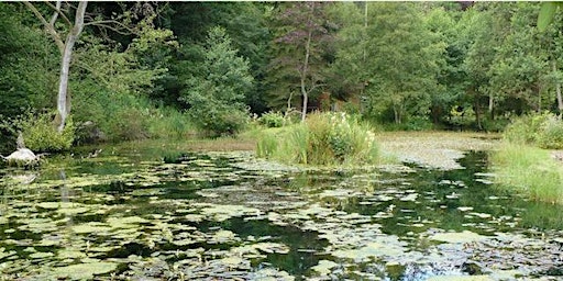 Hauptbild für Forest Garden Spring Drawing Retreat