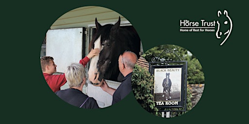Hauptbild für The Horse Trust Entrance Tickets 2024