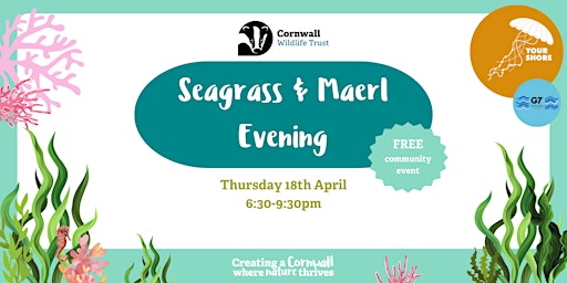 Imagem principal do evento St Austell Bay Seagrass & Maerl Evening