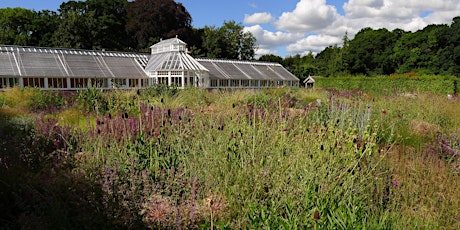 Photography Morning at Scampston Walled Garden.