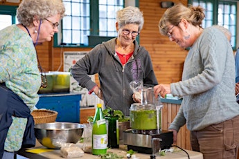 Weed Walk & Nettle Pesto Making with Spoonful Herbals  primärbild