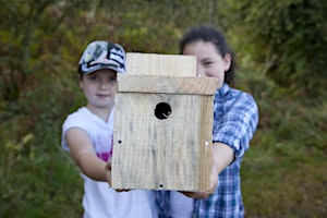 Primaire afbeelding van Birdbox making (Gamlingay)