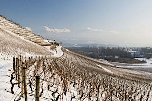 Hauptbild für JURA & SAVOIE