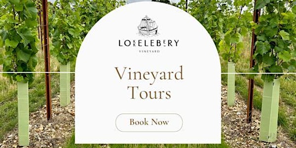 Lokkelebery Vineyard Tour