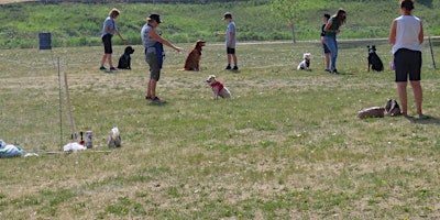 Imagem principal do evento Bark in the Park 2024