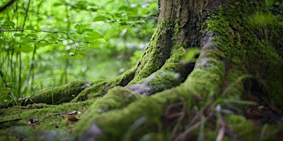 S’ENRACINER DANS LES PAYSAGES primary image