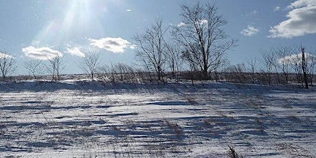 Whimsical Winter: William T. Davis Trail Stewardship primary image
