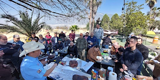 Imagen principal de BBQ Master Class Harry Soo - Sebastian Huezo & Ladys BBQ