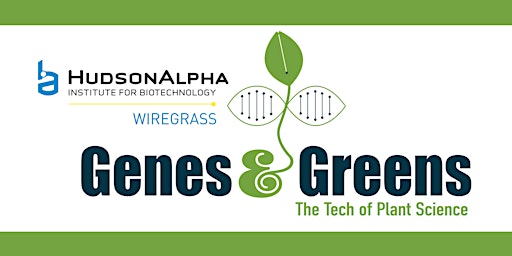 HA Wiregrass Genes & Greens - June 17-28,  2024 (PM)  primärbild