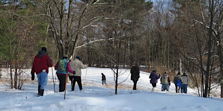 Wonders of Winter Ecology: A Guided Walk primary image