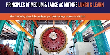 PRINCIPLES OF MEDIUM & LARGE AC MOTORS LUNCH AND LEARN primary image