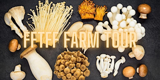 FFTFF In Person Mushroom Farm Tour