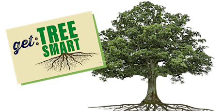 Tree Smart Workshop August primary image