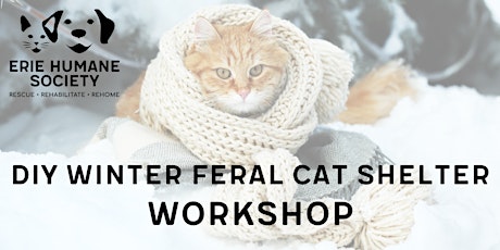 Imagen principal de DIY Winter Feral Cat Shelter Workshop