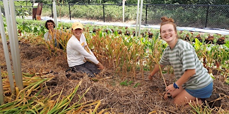 July Volunteer Orientation & Info Session