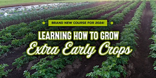 Imagen principal de Learning how to grow extra early crops