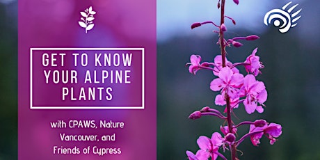 Get to Know your Alpine Plants primary image