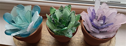 Collection image for Glass Succulents
