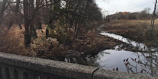 Primaire afbeelding van Green Lane Ghost Forest Remediation 2024