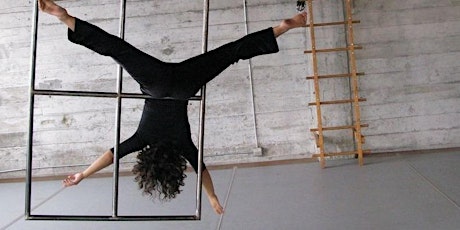 CANCELLED: Aerial Dance Workshop for Youth with Joanna Haigood primary image