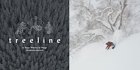 Treeline: A Story Written In Rings primary image