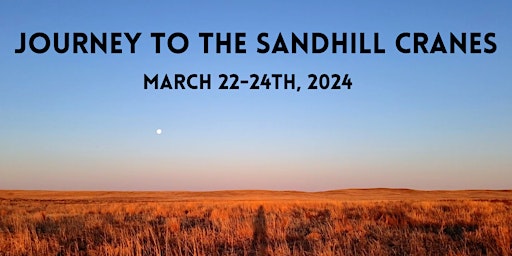 Expedition to the Sandhill Cranes primary image