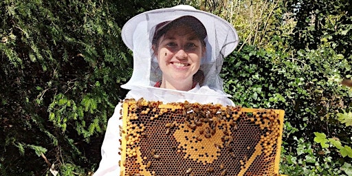 Imagen principal de Beekeeping Taster Day