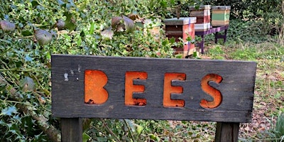 Beekeeping Introduction Course 27th & 28th April 2024 primary image