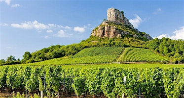 Burgundy vs New World - a journey of Chardonnay and Pinot Noir primary image