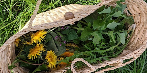 Hauptbild für Foraging Class