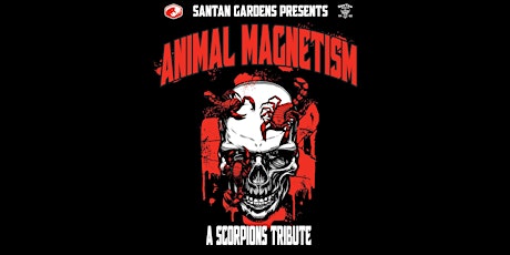 Animal Magnetism - A Scorpions Tribute