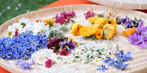 Imagen principal de Hecho con Amor: Pressed Flower Tortillas