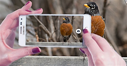 Nature Unveiled: Biodiversity Quest at George Genereux Park