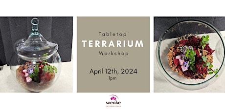 Tabletop Terrarium Workshop: 4/12/24 @ 1pm