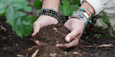 Primaire afbeelding van Living Soil Workshop