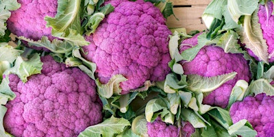 Imagen principal de Plática  y Prueba:Purple Cauliflower Ceviche with Correas Mariscos & Cocina