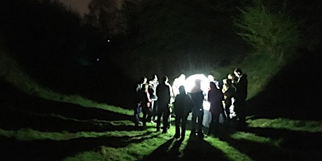 Moth Trapping Night at Warley Woods CANCELLED DUE TO POOR WEATHER primary image