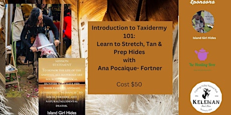 Introduction to Taxidermy: Learn how to Stretch, Tan  & Prep Hides