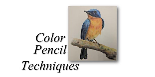 Imagen principal de Color Pencil Techniques Birds $40 BYO Workshop