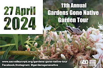 Imagen principal de 2024 Gardens Gone Native Garden Tour