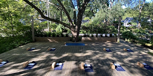 Toronto Island Yoga Retreat primary image