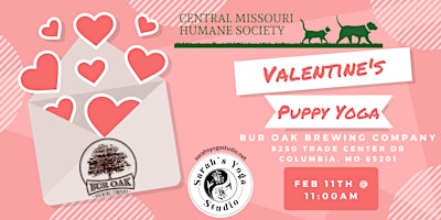 Valentine's Puppy Yoga at Bur Oak Brewing primary image