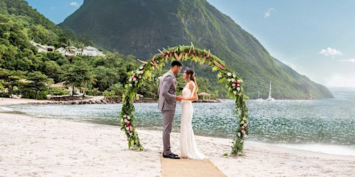 Hauptbild für Love Takes Flight: A Destination Wedding and Honeymoon Showcase
